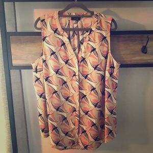 Bird (swallows) shell